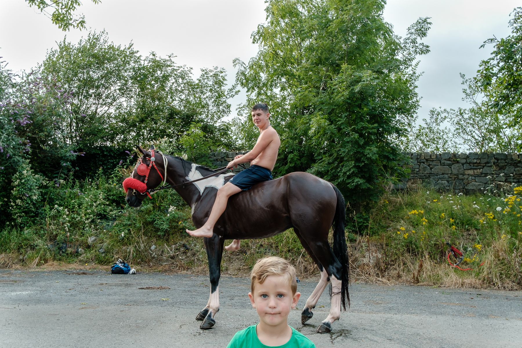 Suir Horses (5 of 7).jpg