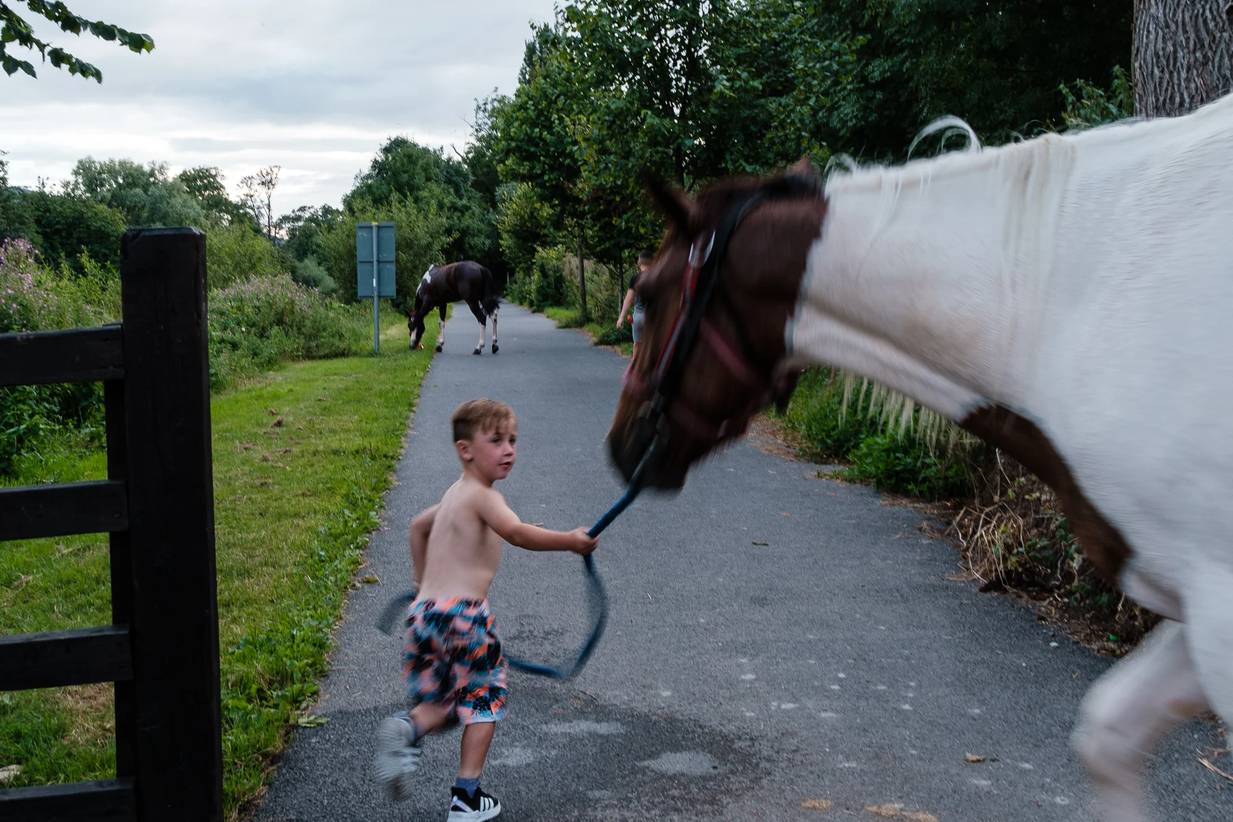 Suir Horses (6 of 7).jpg