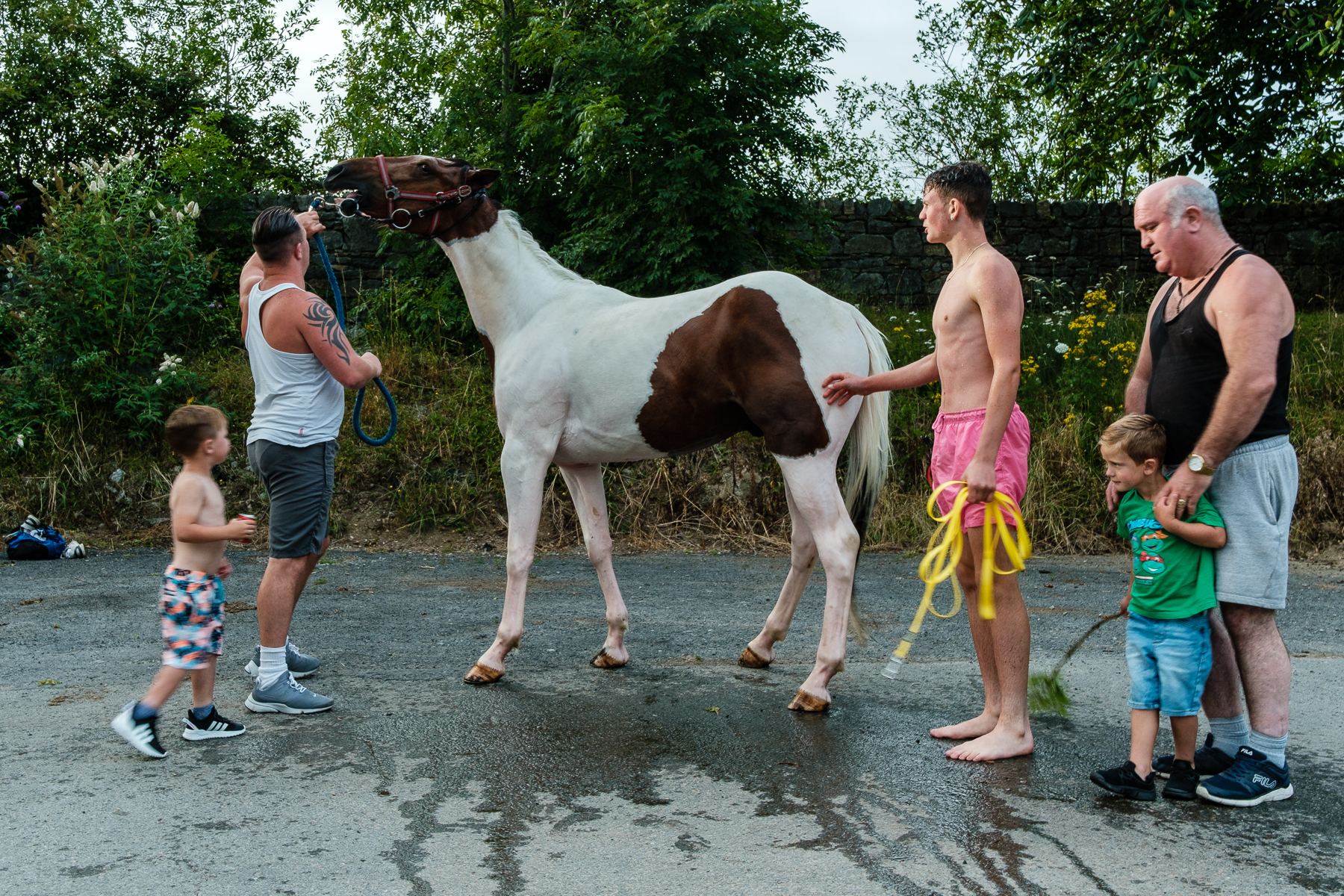 Suir Horses (9 of 1).jpg