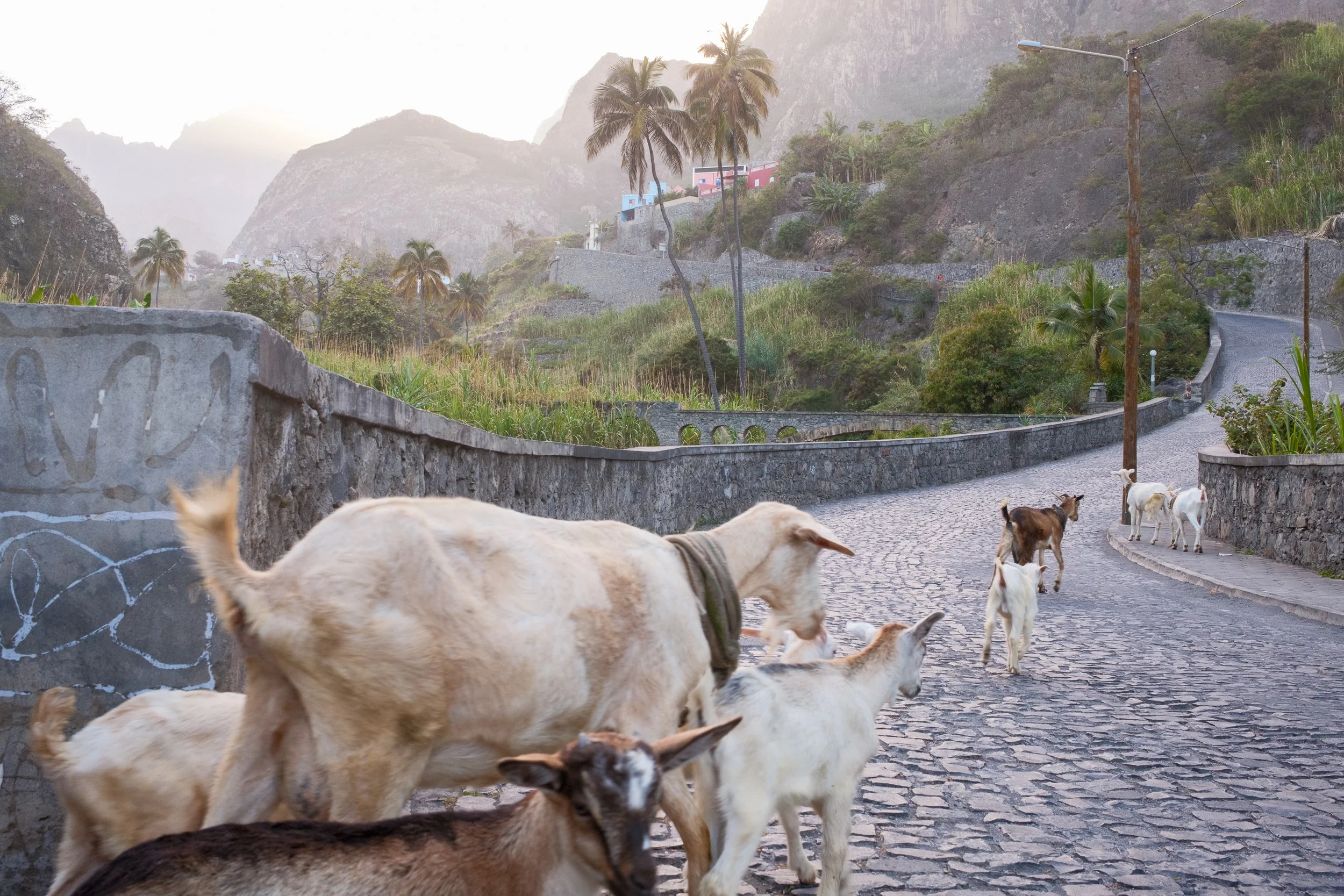  Paul Valley,  Santo Antão.  
