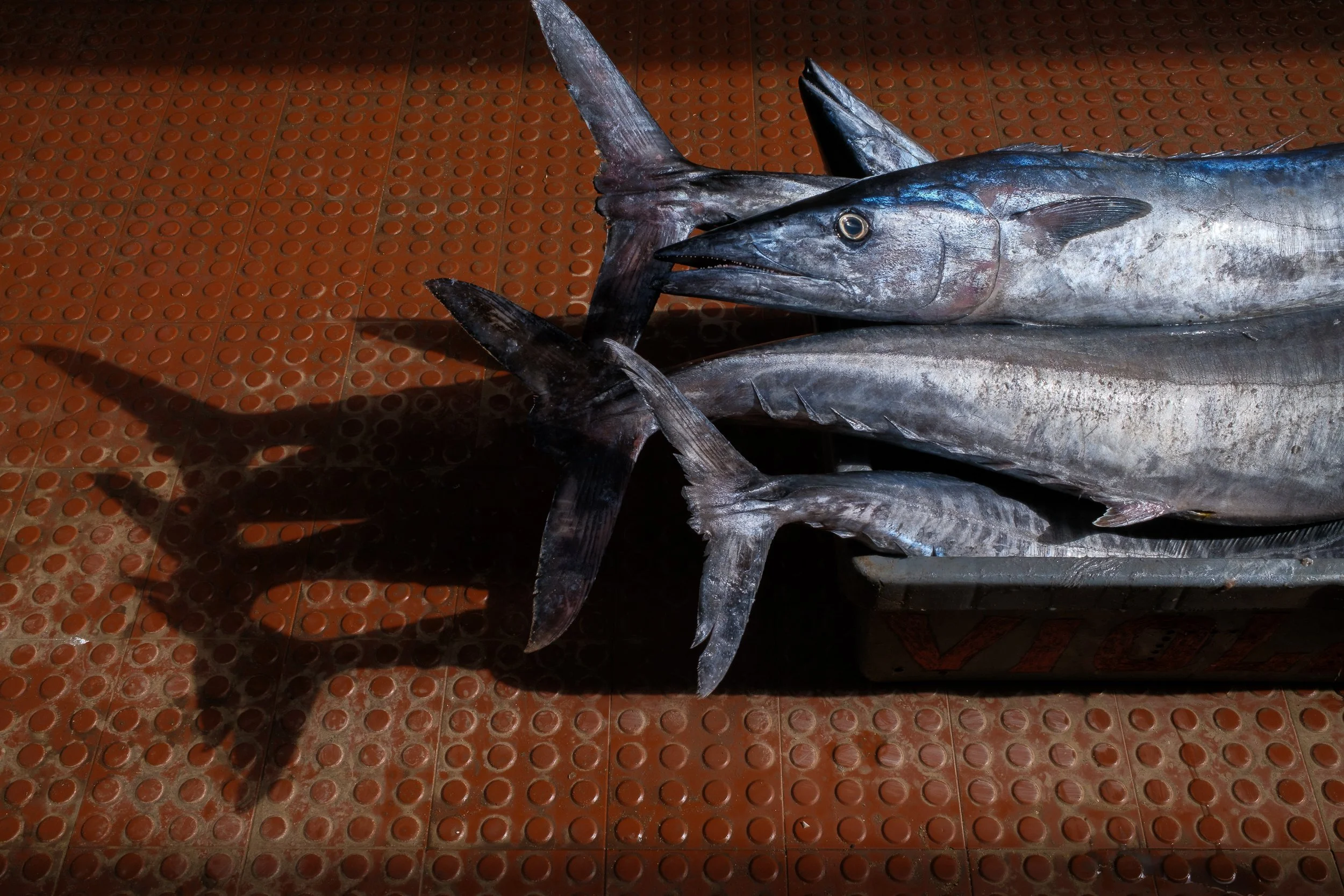  Mindelo, São Vicente. 