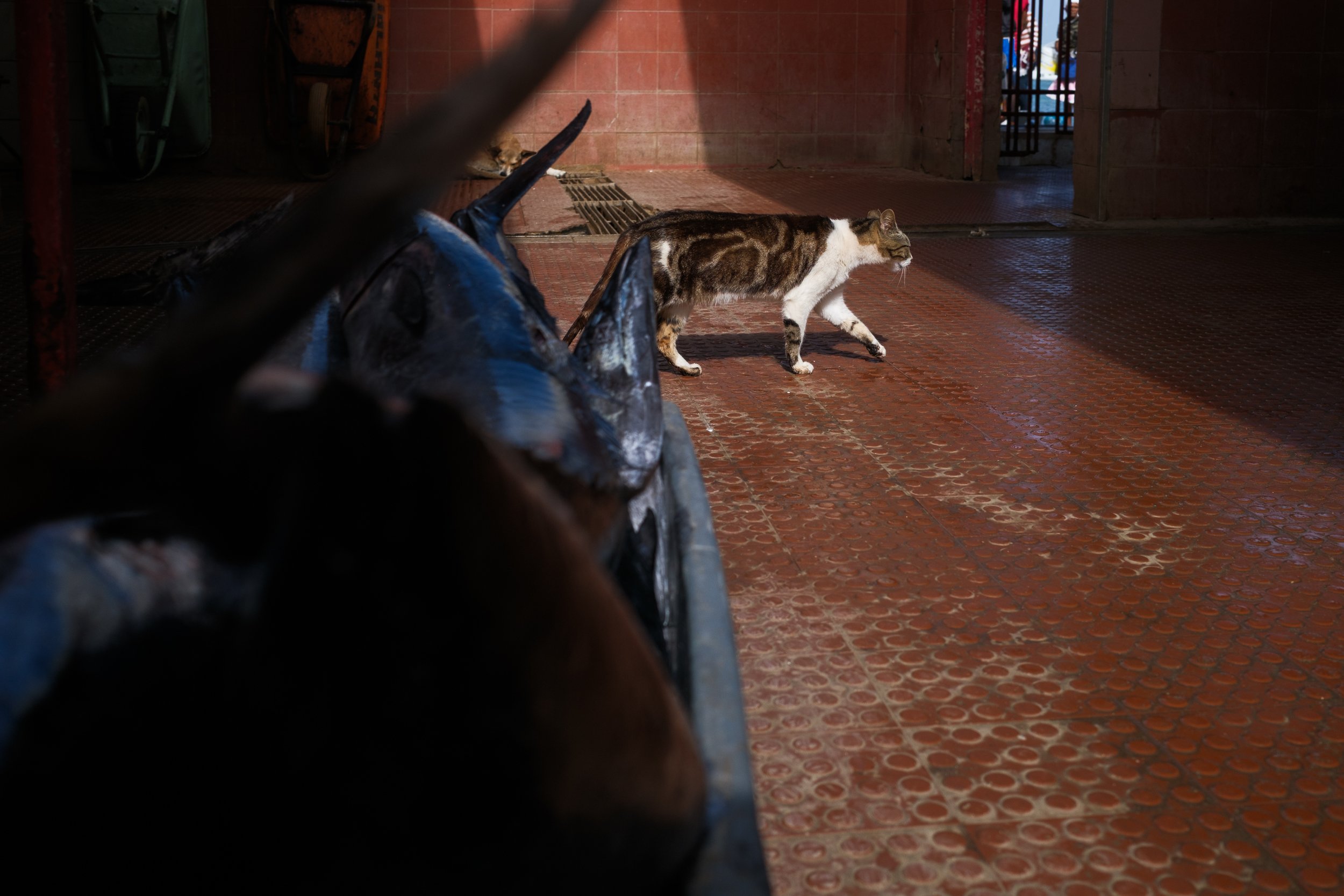  Mindelo, São Vicente. 