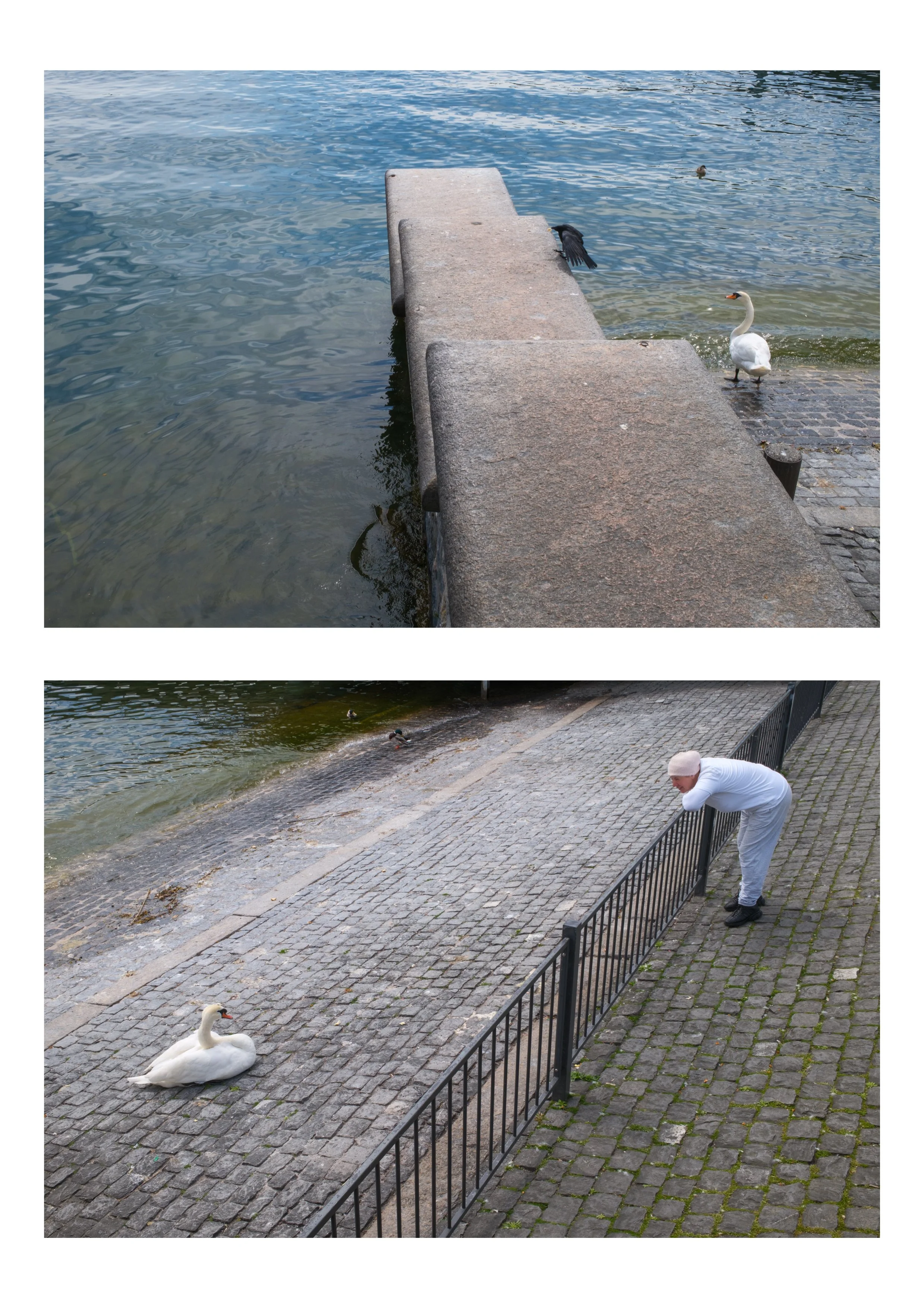 Zurich Diptych 2.jpg