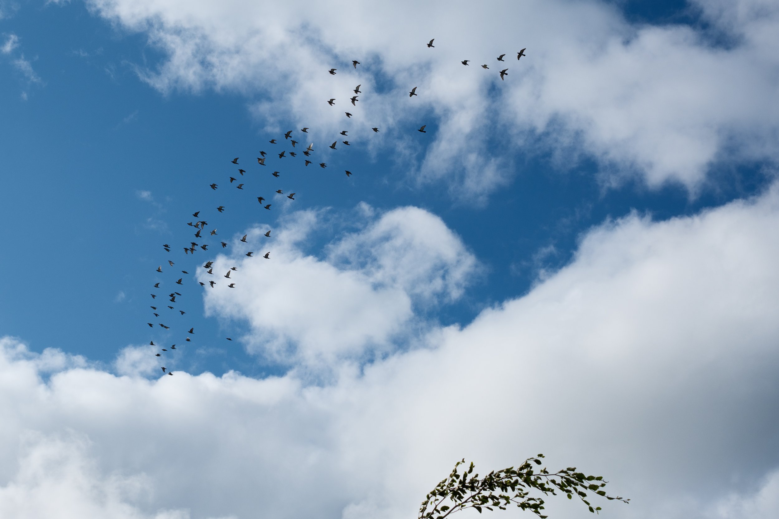  Training flight. Co. Tipperary, 25 Apr 2026.  