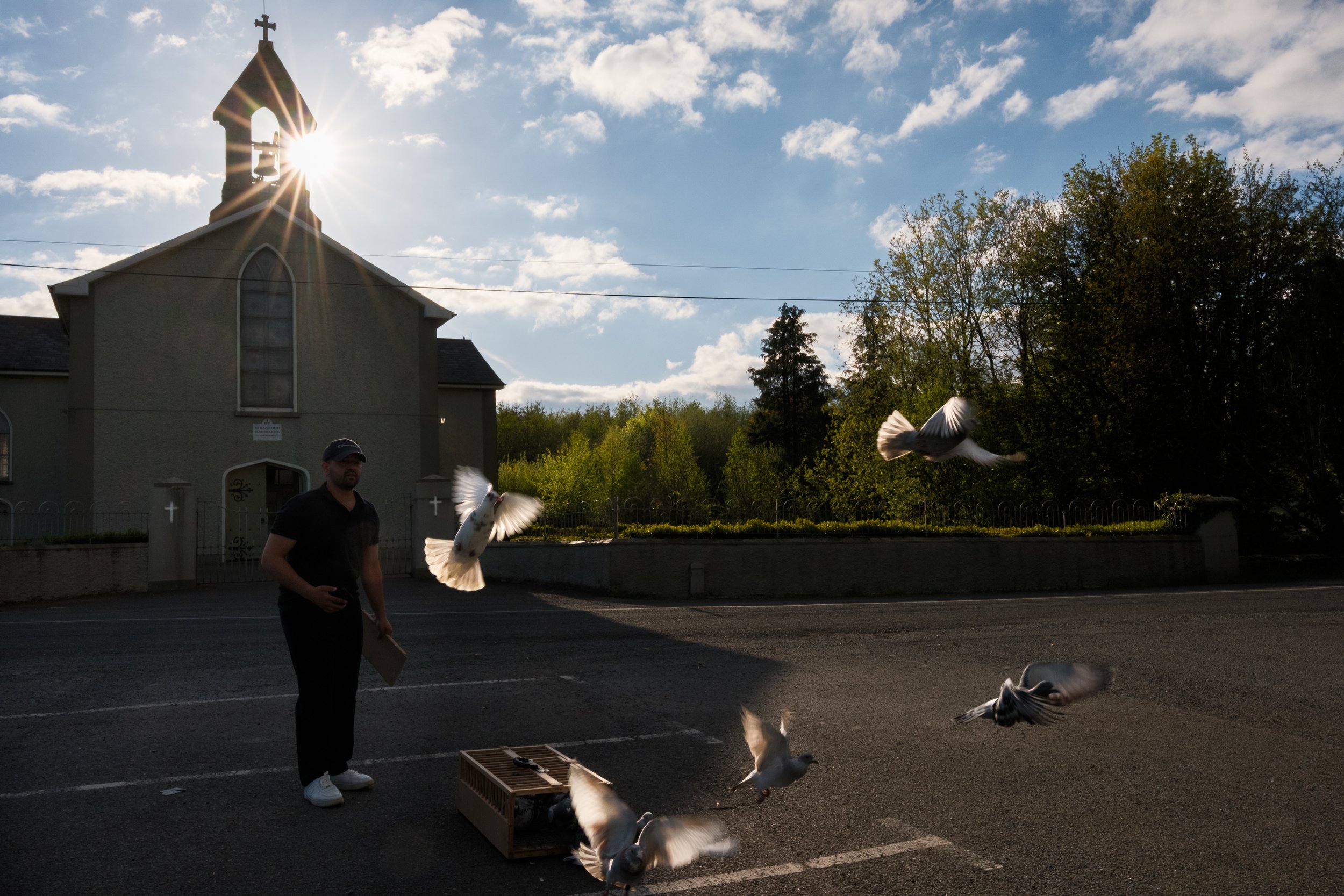  Pigeons training, Co. Tipperarry. 28 Apr 2026. 