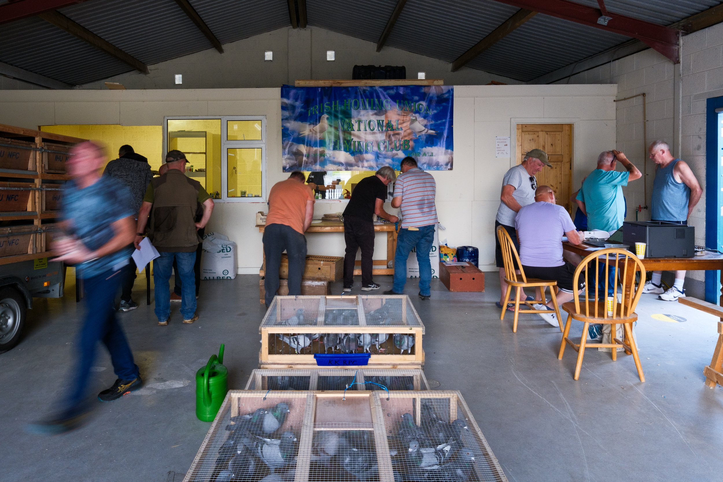  Pre-race day. Kilkenny Racing Pigeon Club. 15 Aug 2025 