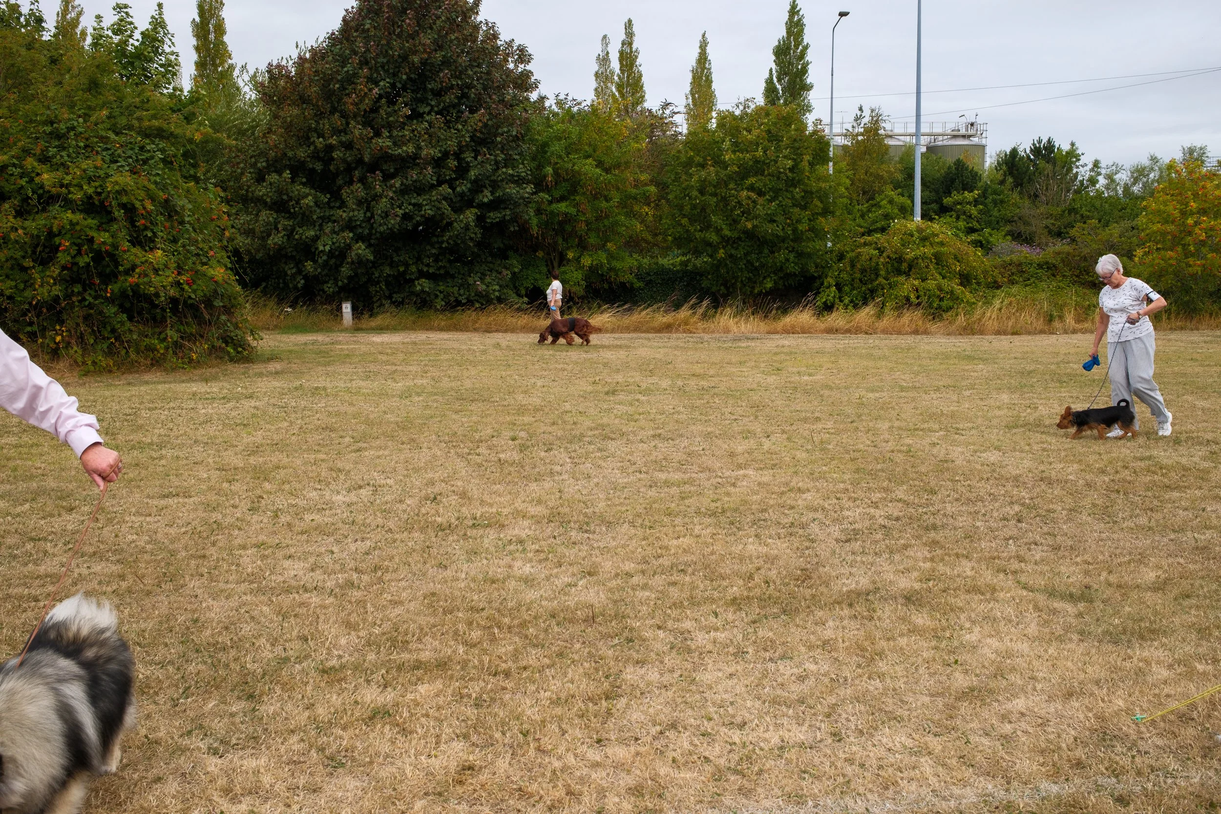 WR_260816_2241.jpg