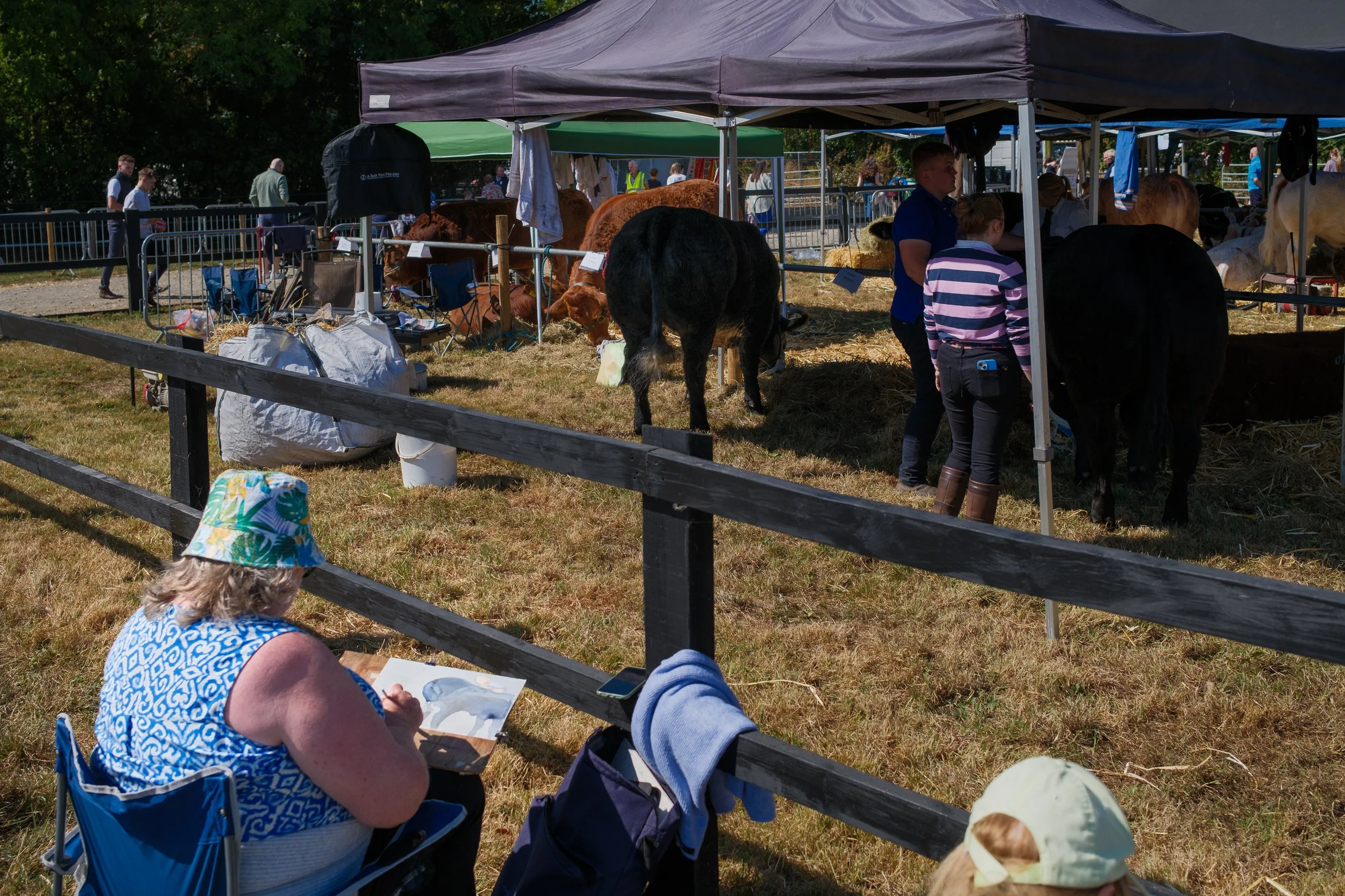 WR_260822_2471.jpg
