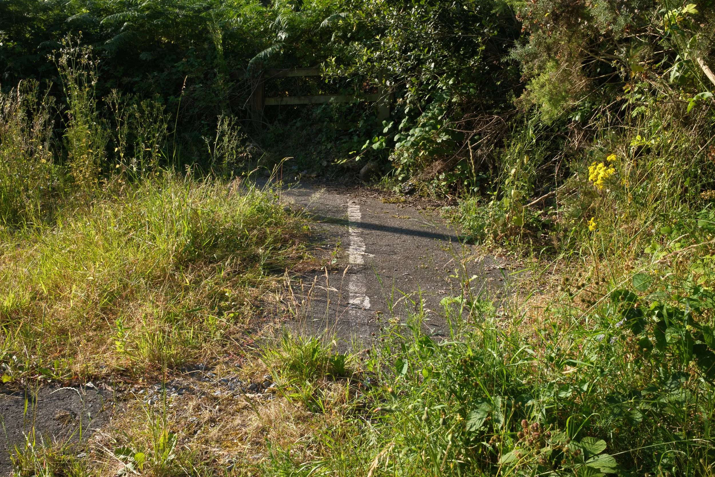 WR_260712_1589.jpg