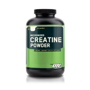 Optimum Nutrition Creatine Monohydrate
