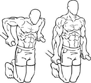 Best Chest Exercises