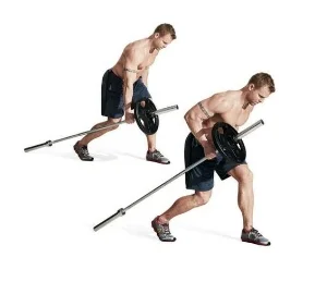 Back Workouts - Thicker Back