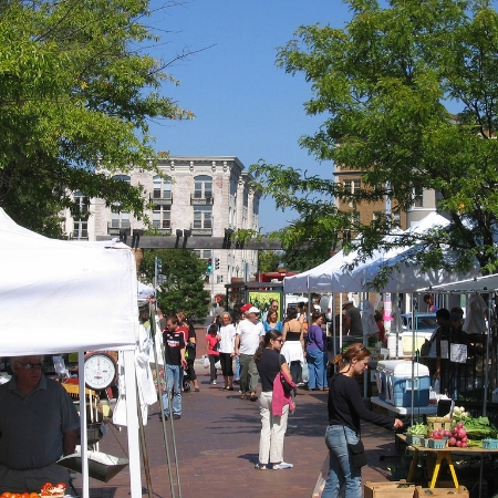 The Mount Pleasant farmer's market in Lamont Park. 