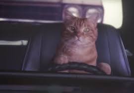 Me trying to decide to go teach my first yoga class or leave town.