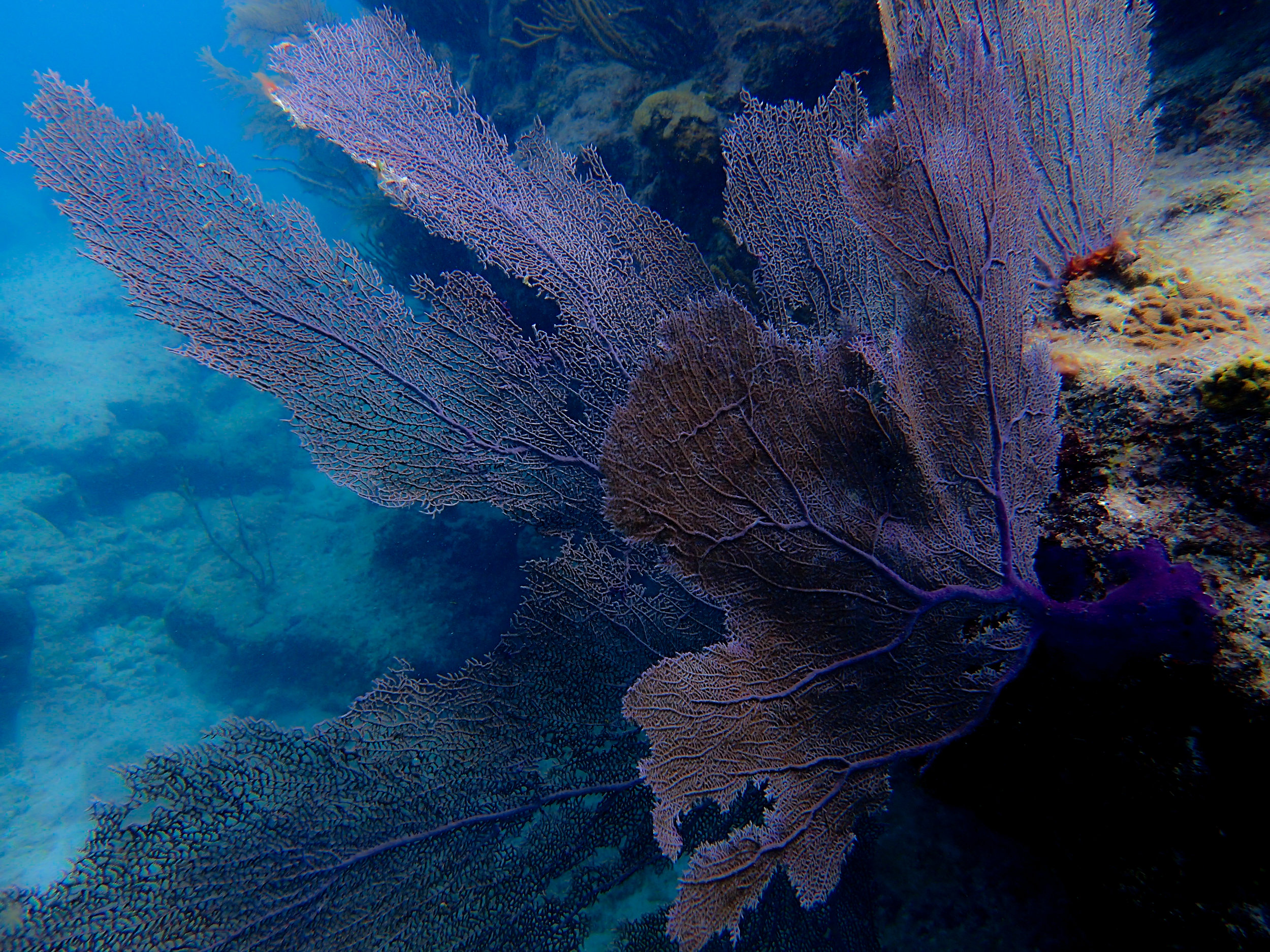 P6280091-2.jpg
