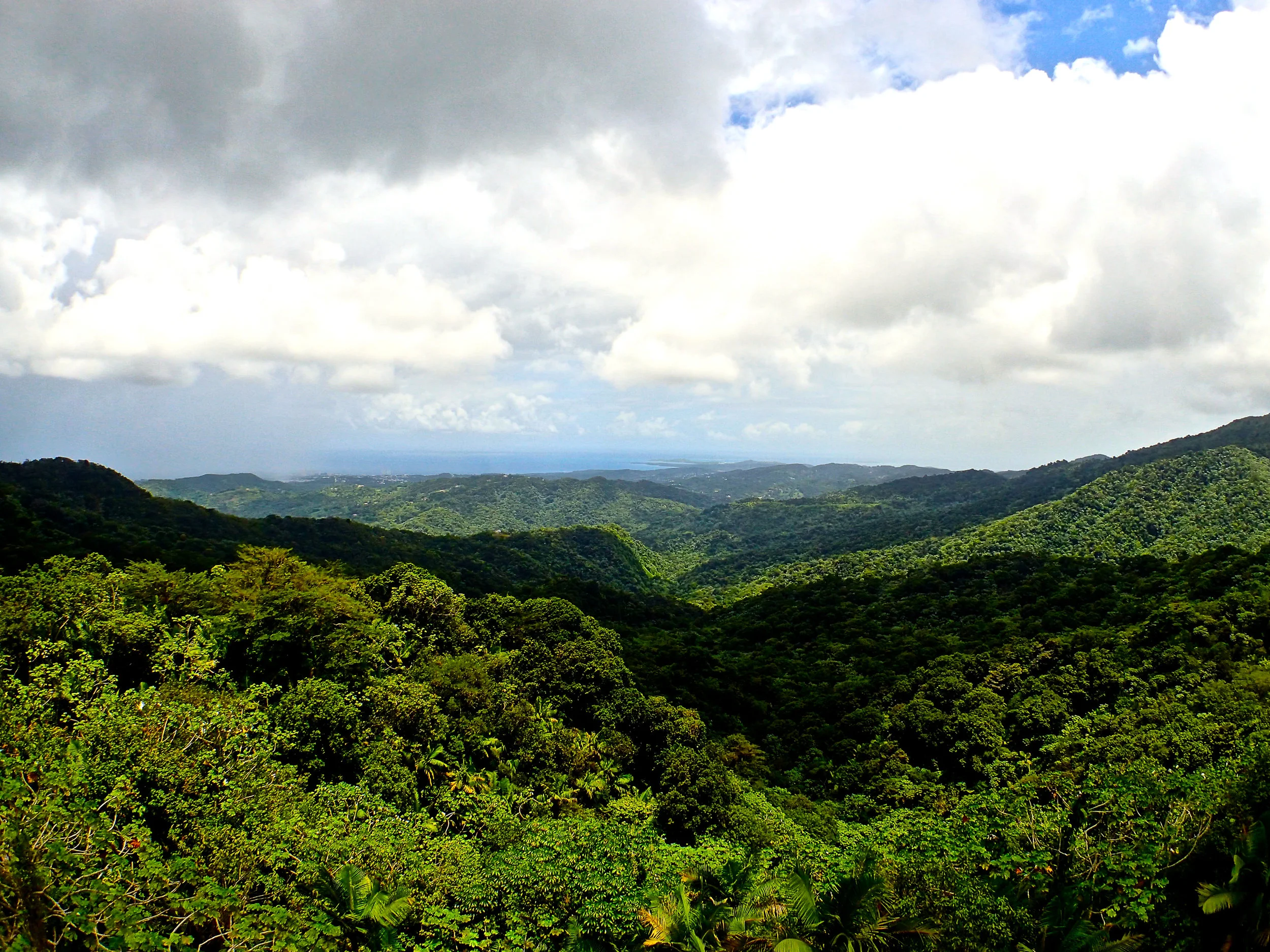 P8310002.jpg