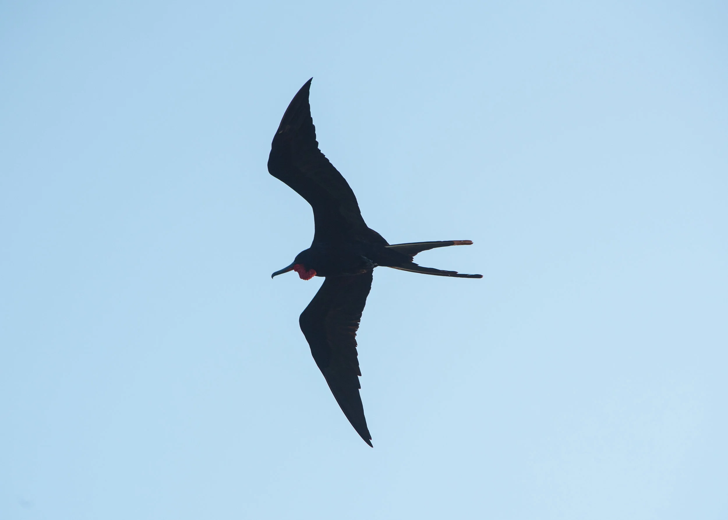 DSC_2912.jpg