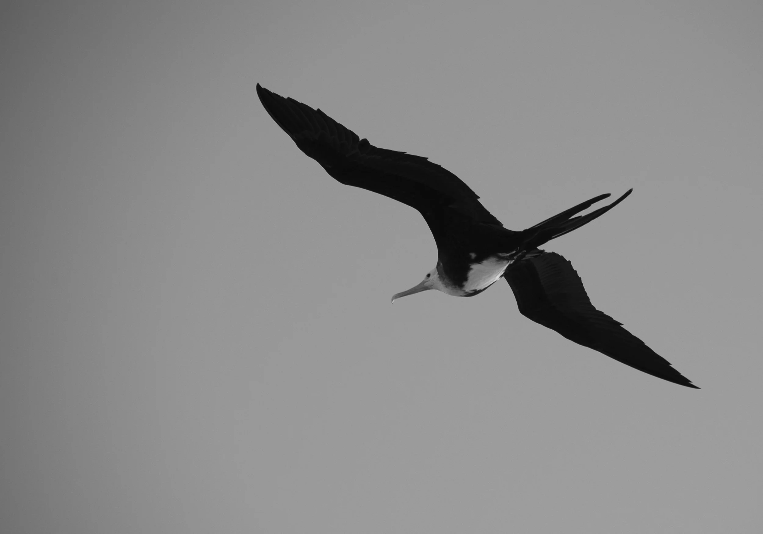 DSC_2902.jpg