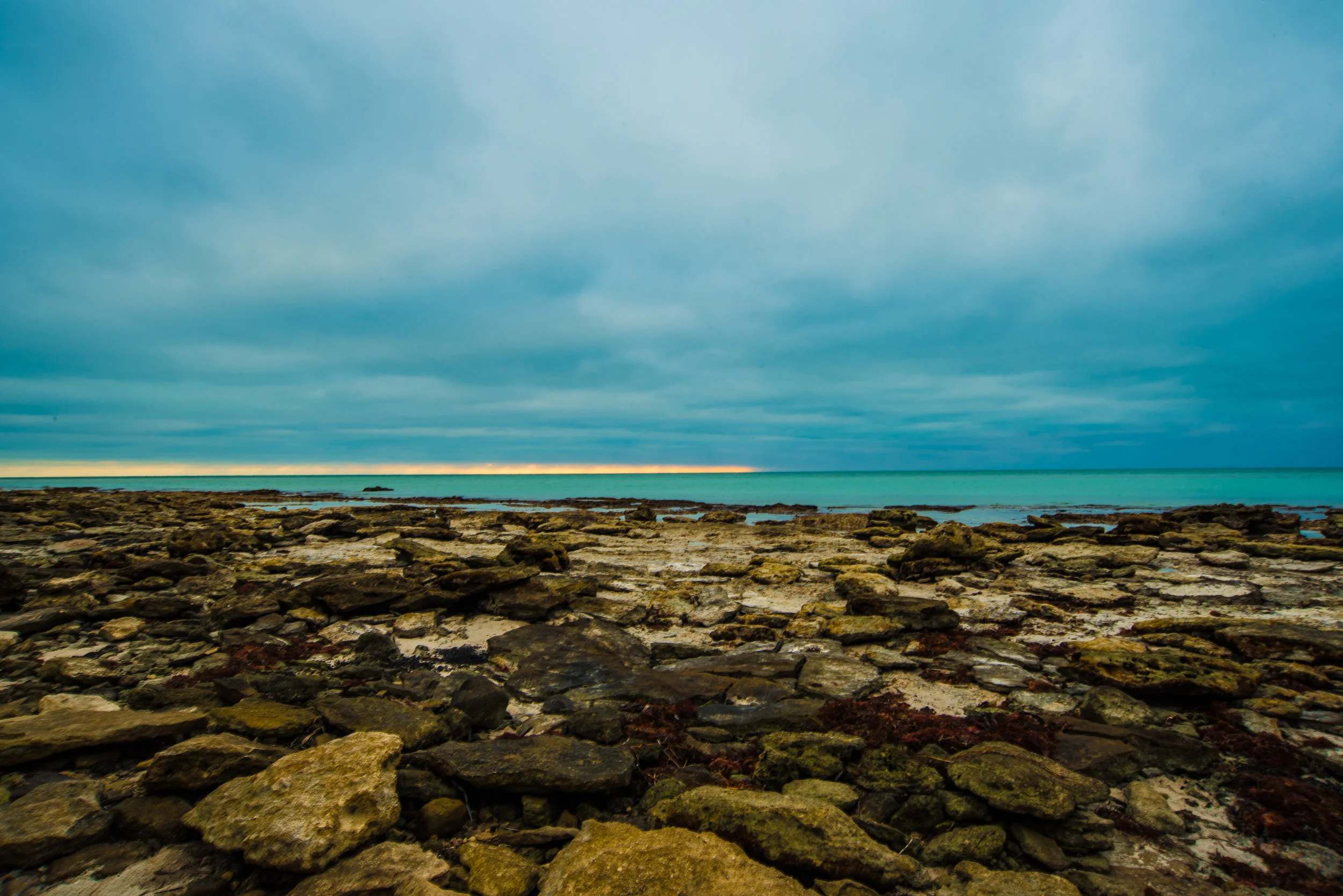 _DSC3880.jpg