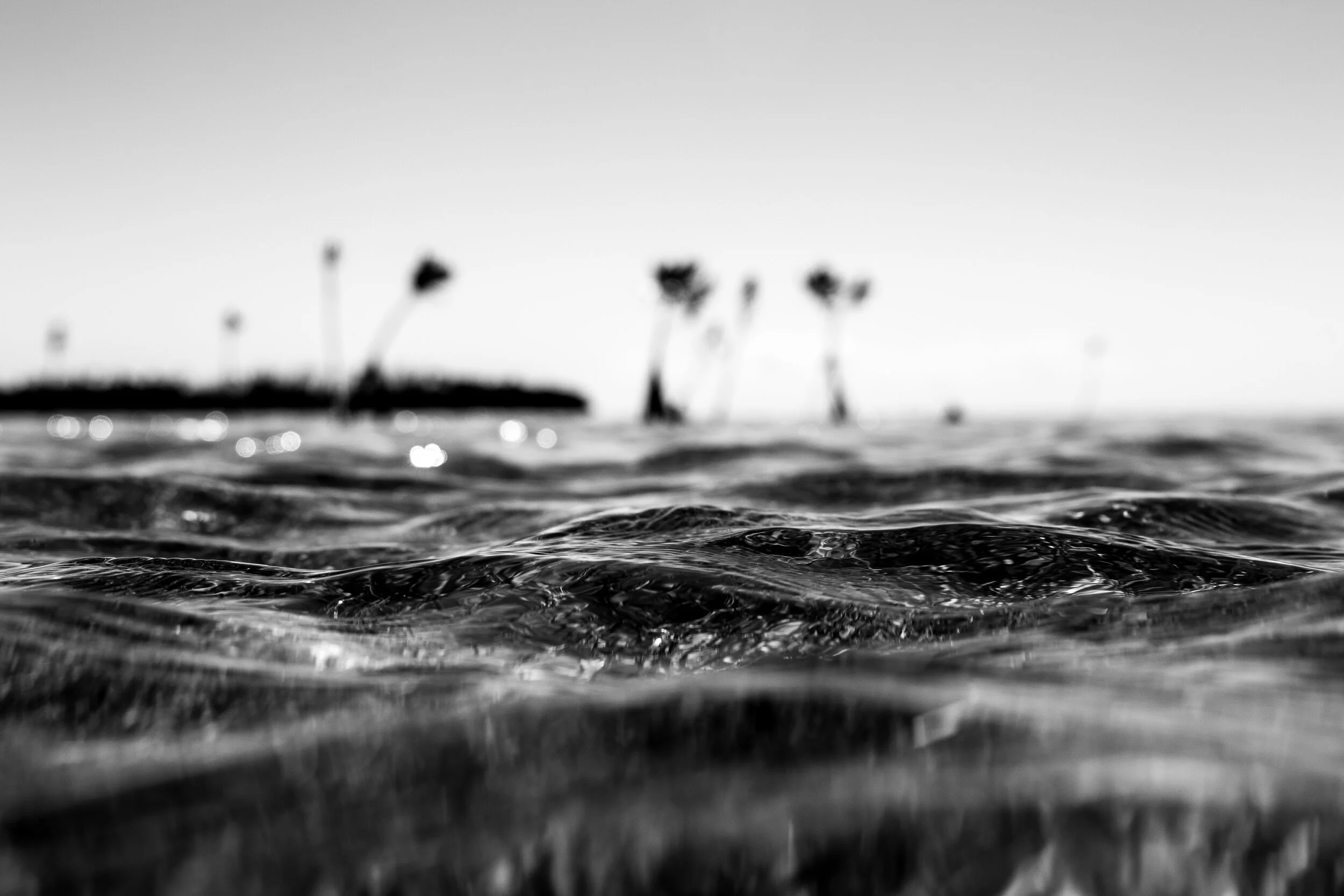 IMG_7496.jpg