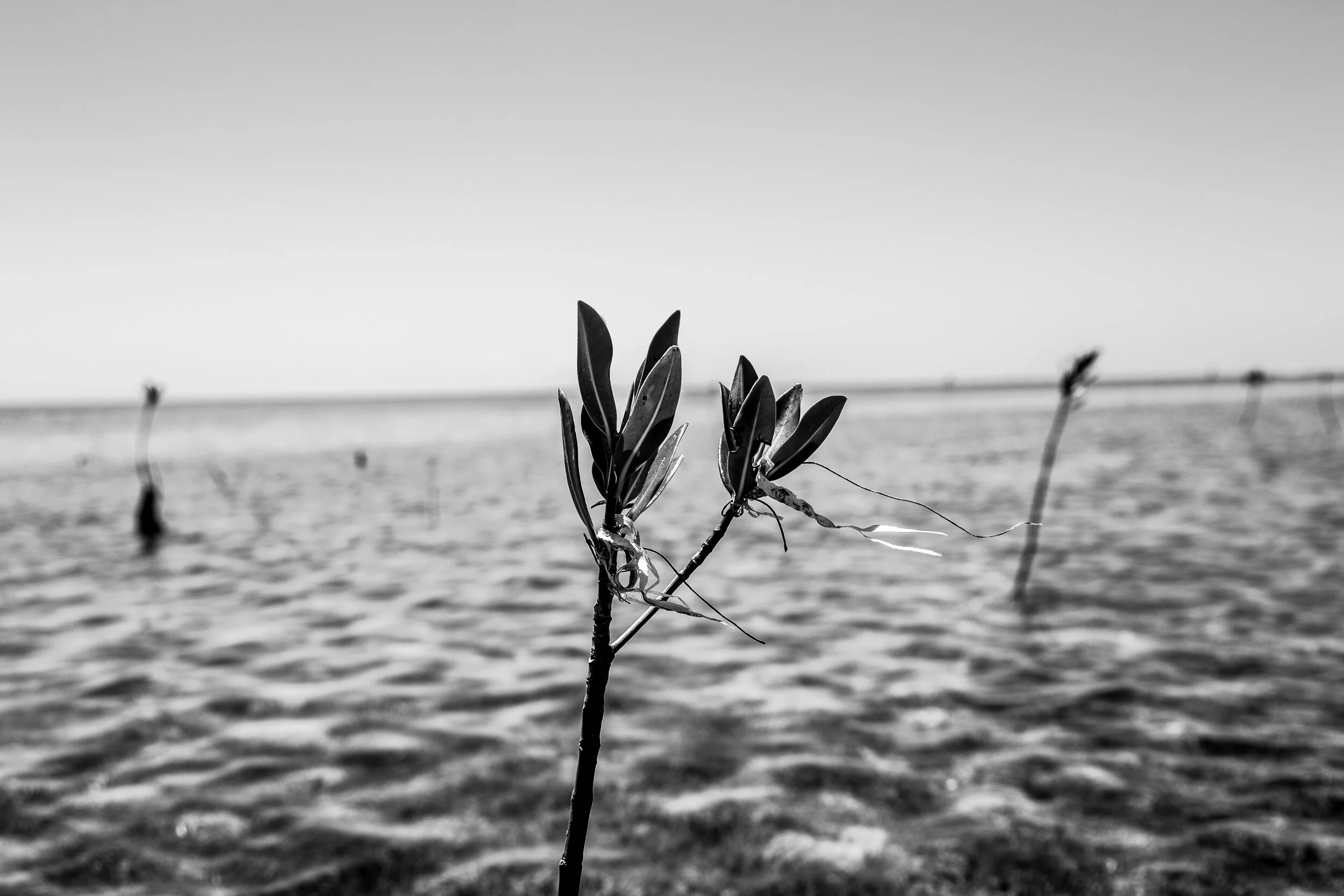 IMG_7522.jpg