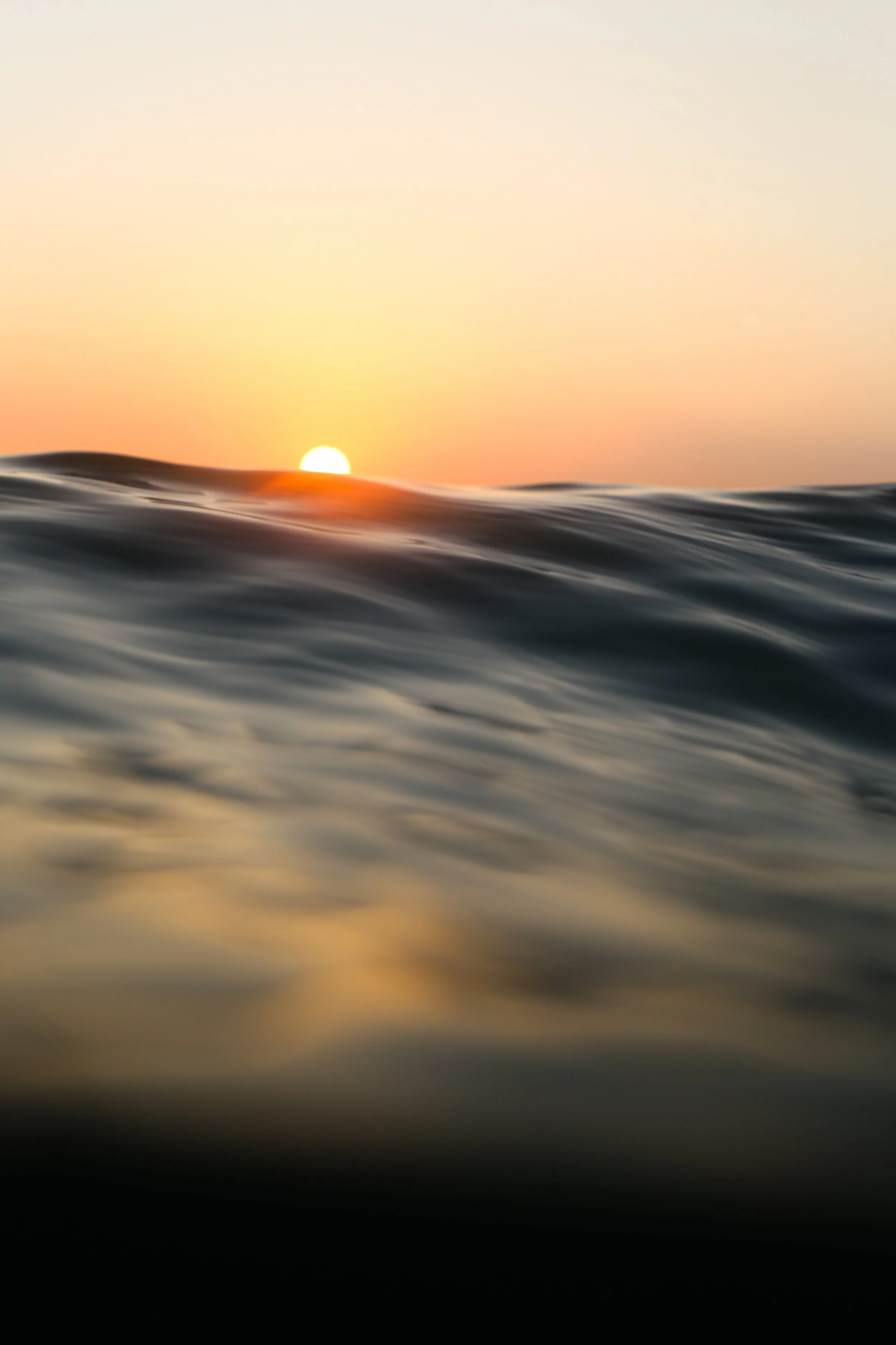 Float.jpg