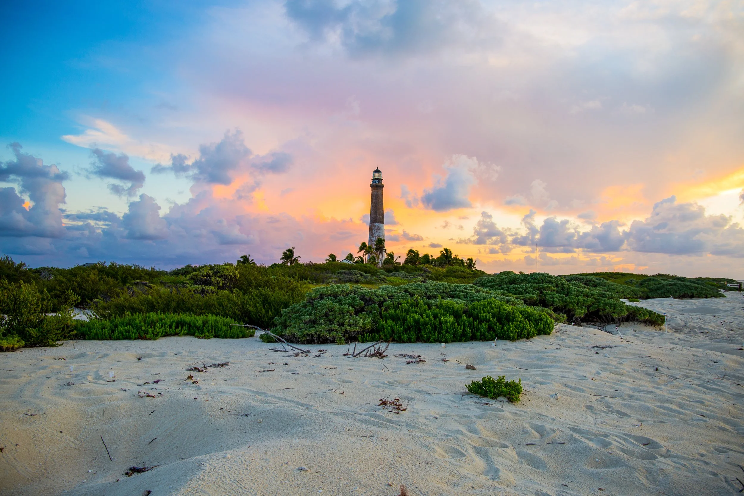 Loggerhead Sunrise.jpg