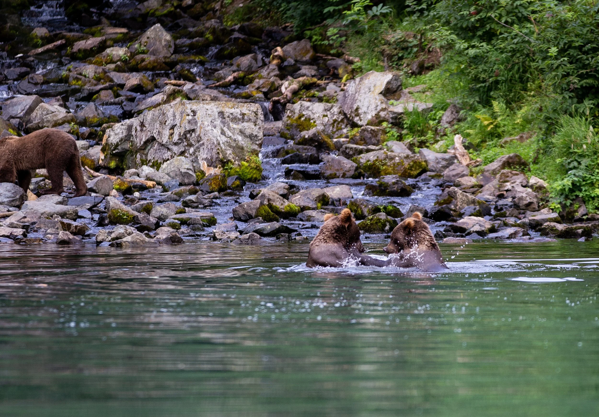 IMG_5081.jpg