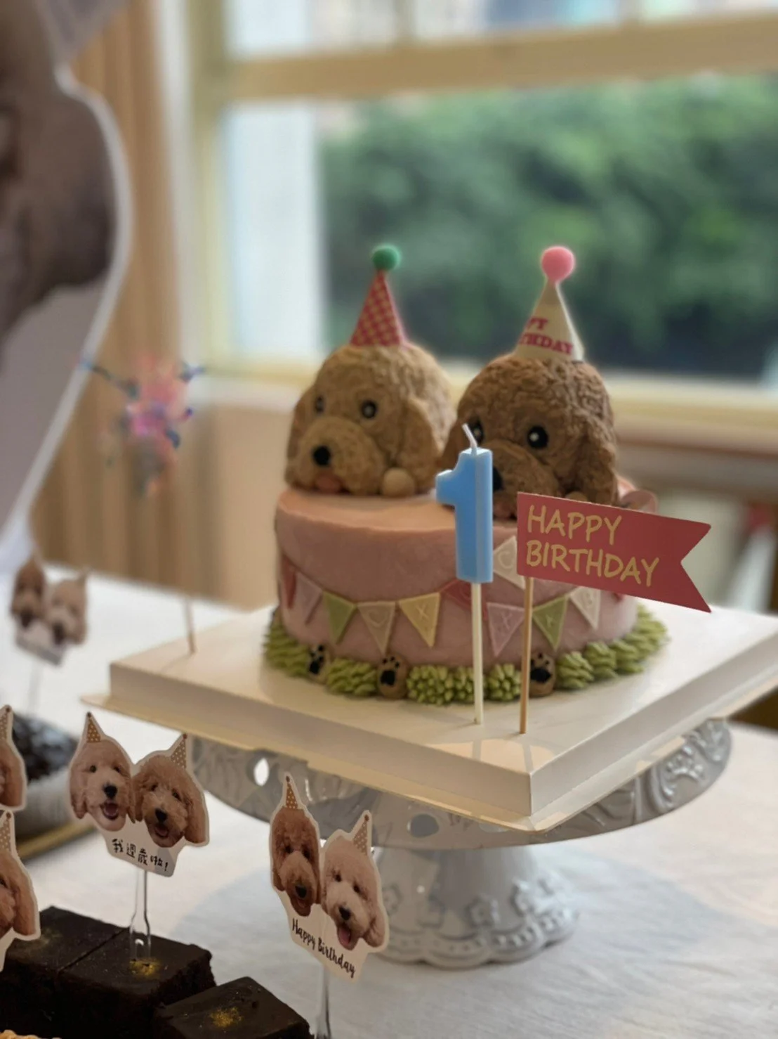 ｜私人聚會 寵物週歲派對 @ WUTZ｜