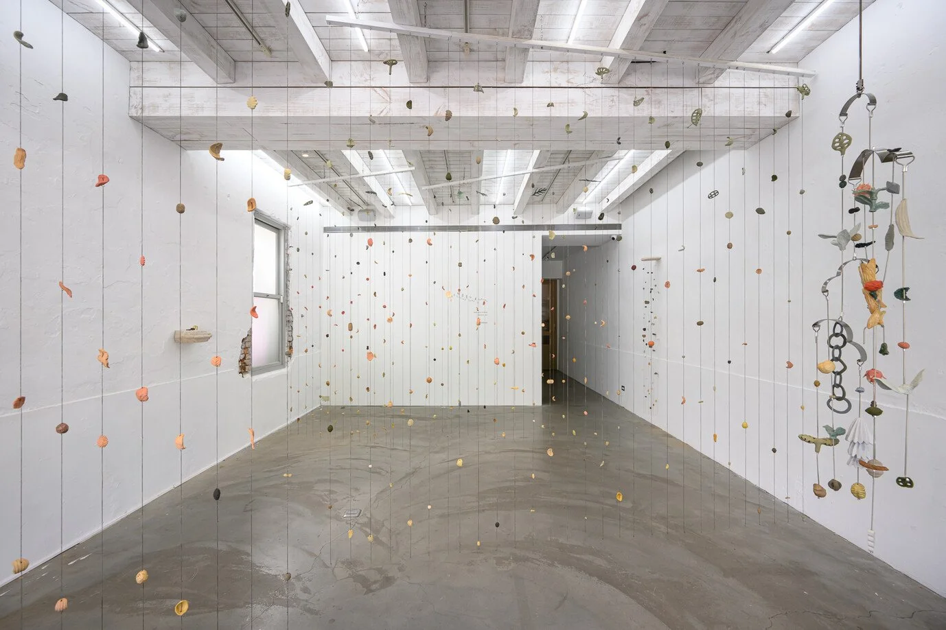 An art installation with moistened cookies hanging from ceiling wires in a white-walled room with concrete floor and exposed ceiling beams.
