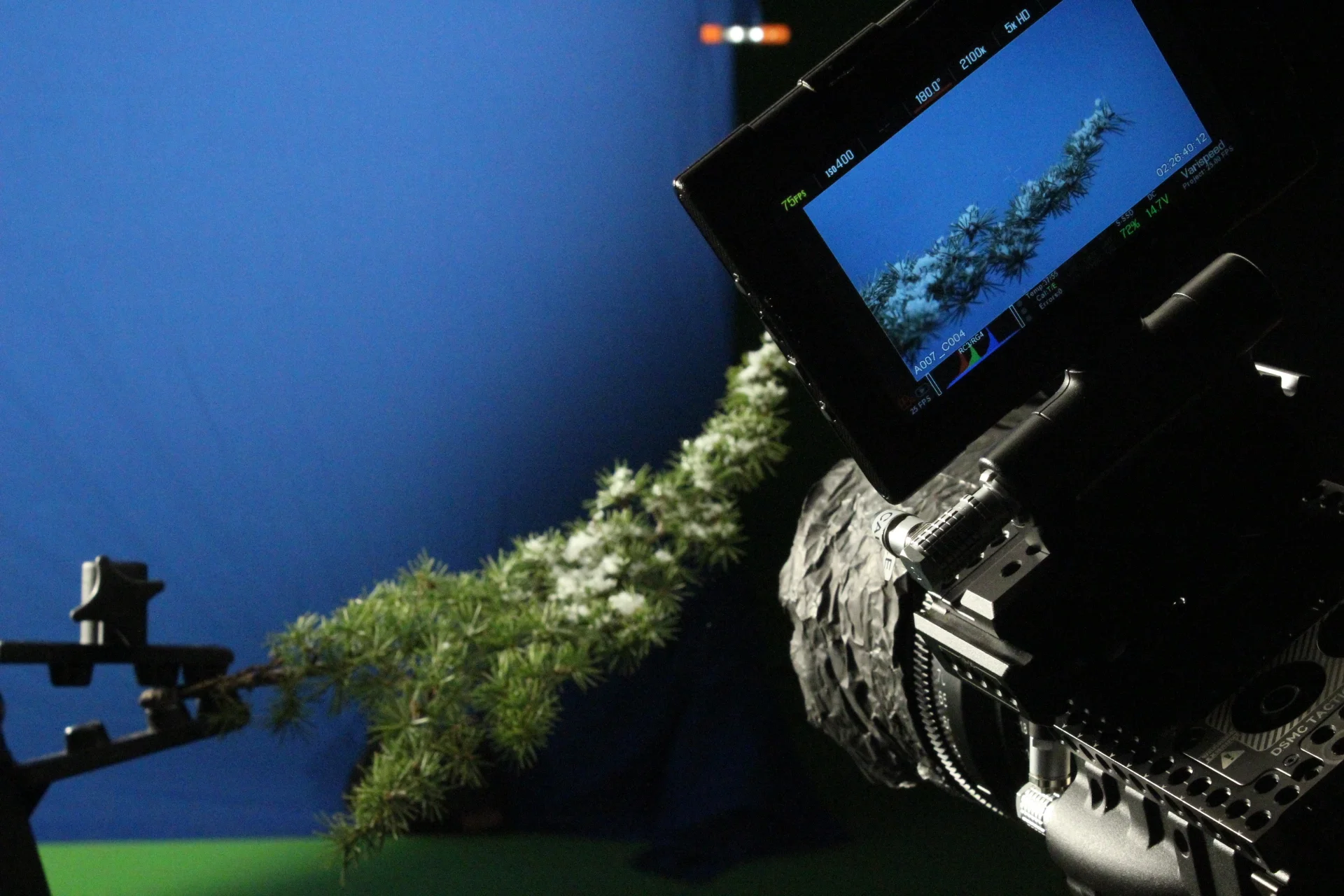 MEA | 70 Years Anniversary