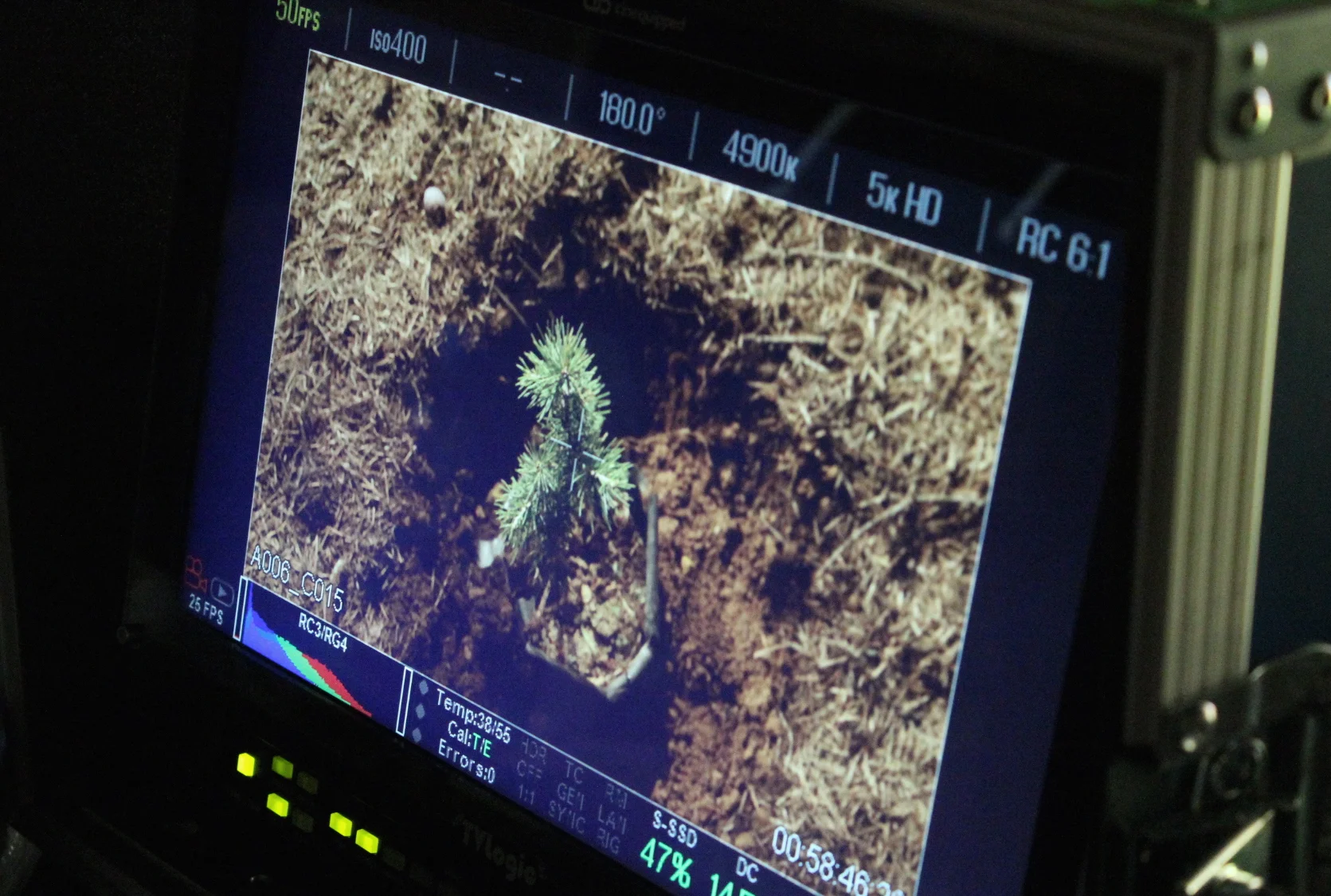 MEA | 70 Years Anniversary