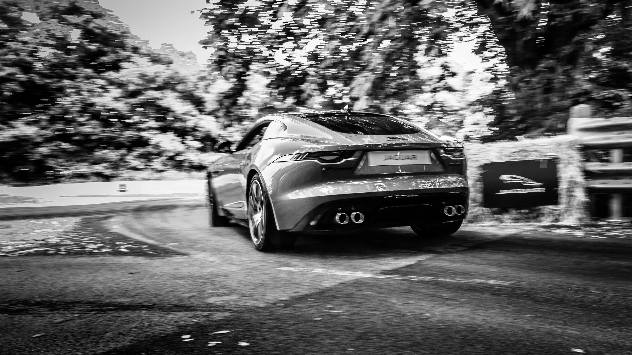 DevelopImages_Goodwood-58.jpg