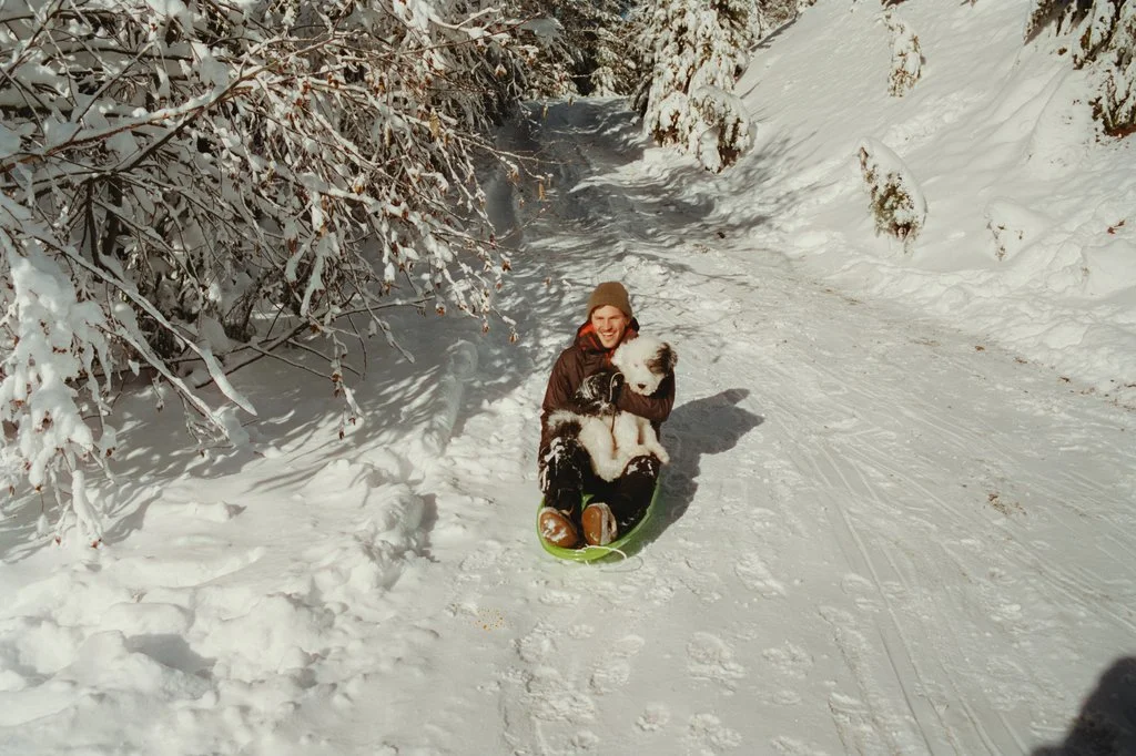 20_151201_Cuttting down Christmas Trees_roll-02.jpg