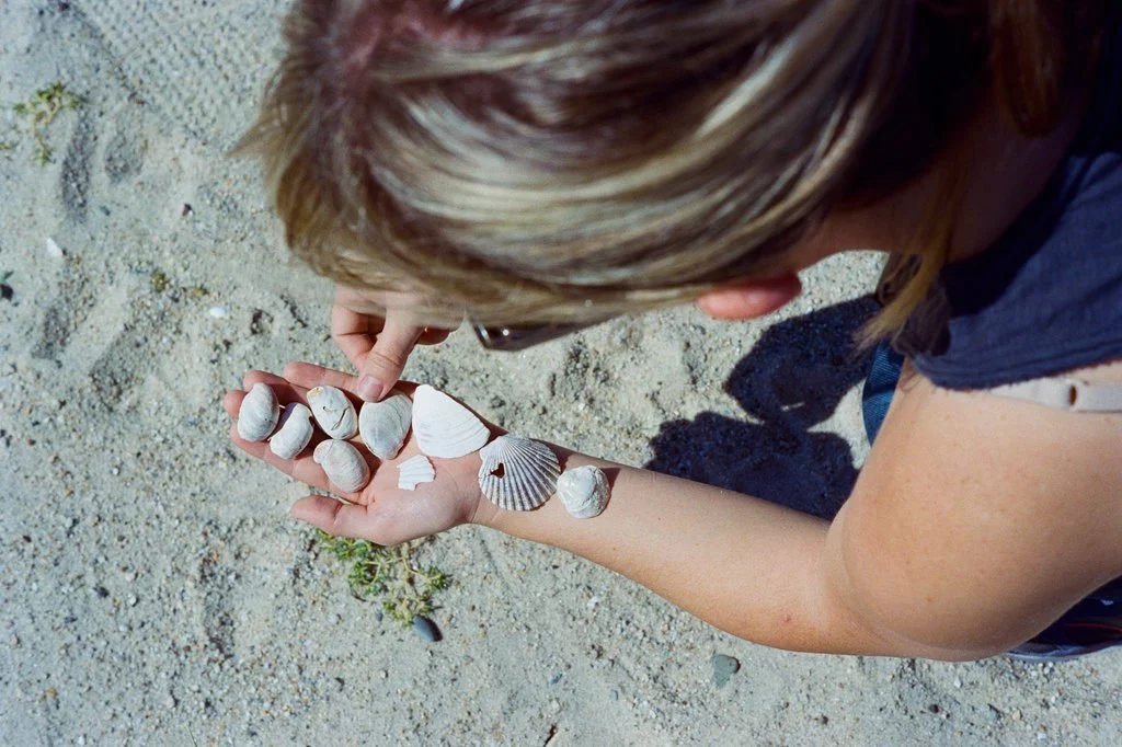 30_151003_Marthas Vineyard.jpg