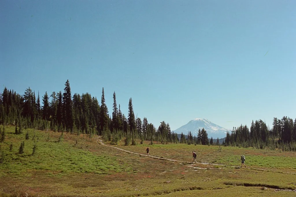 140601_Hike With Ryan And Bailey_Roll-4_14.jpg