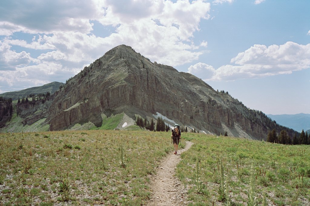 Roll_01-50d_1.36.1.jpg