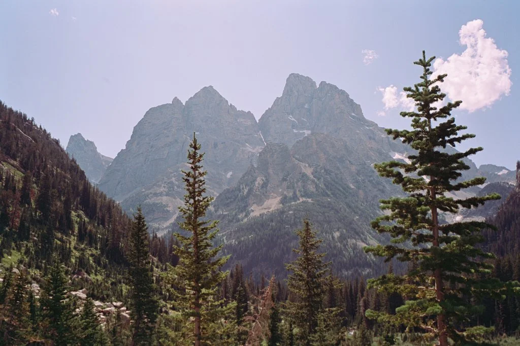 Roll_02-50d_1.25.1.jpg