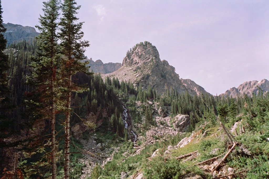 Roll_02-50d_1.34.1.jpg