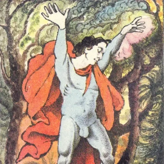 Collected writing on Melville