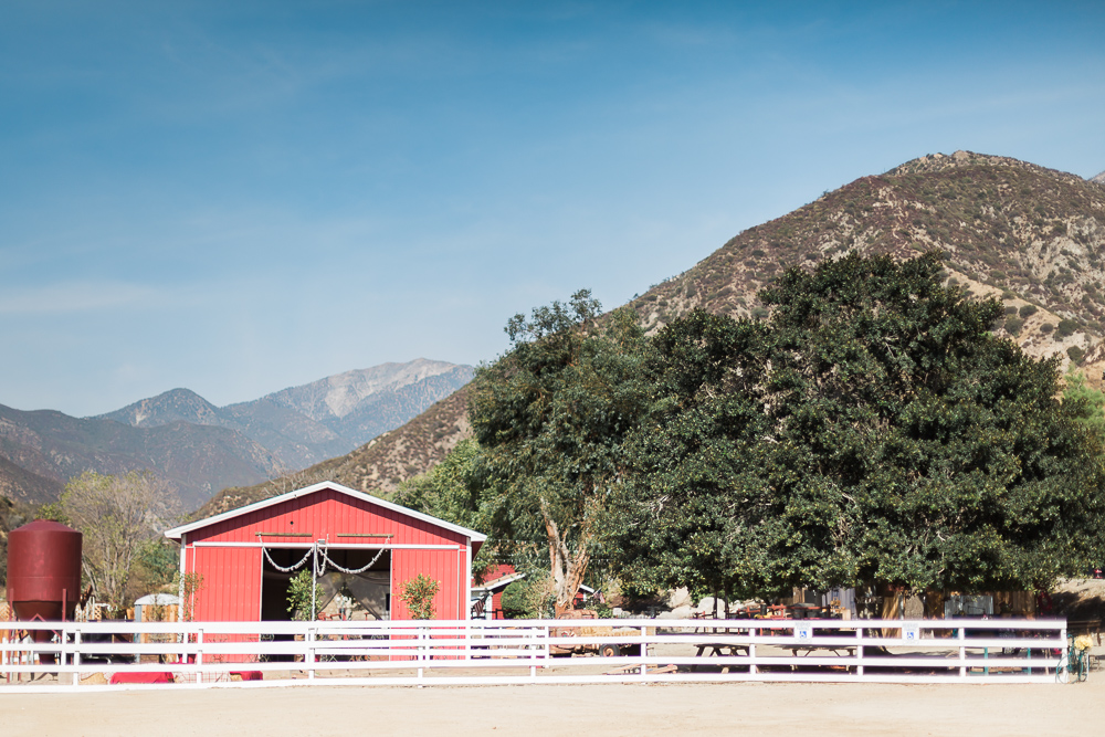 sweet-pea-ranch-outdoor-barn-wedding-puckett-hoverson-102.jpg