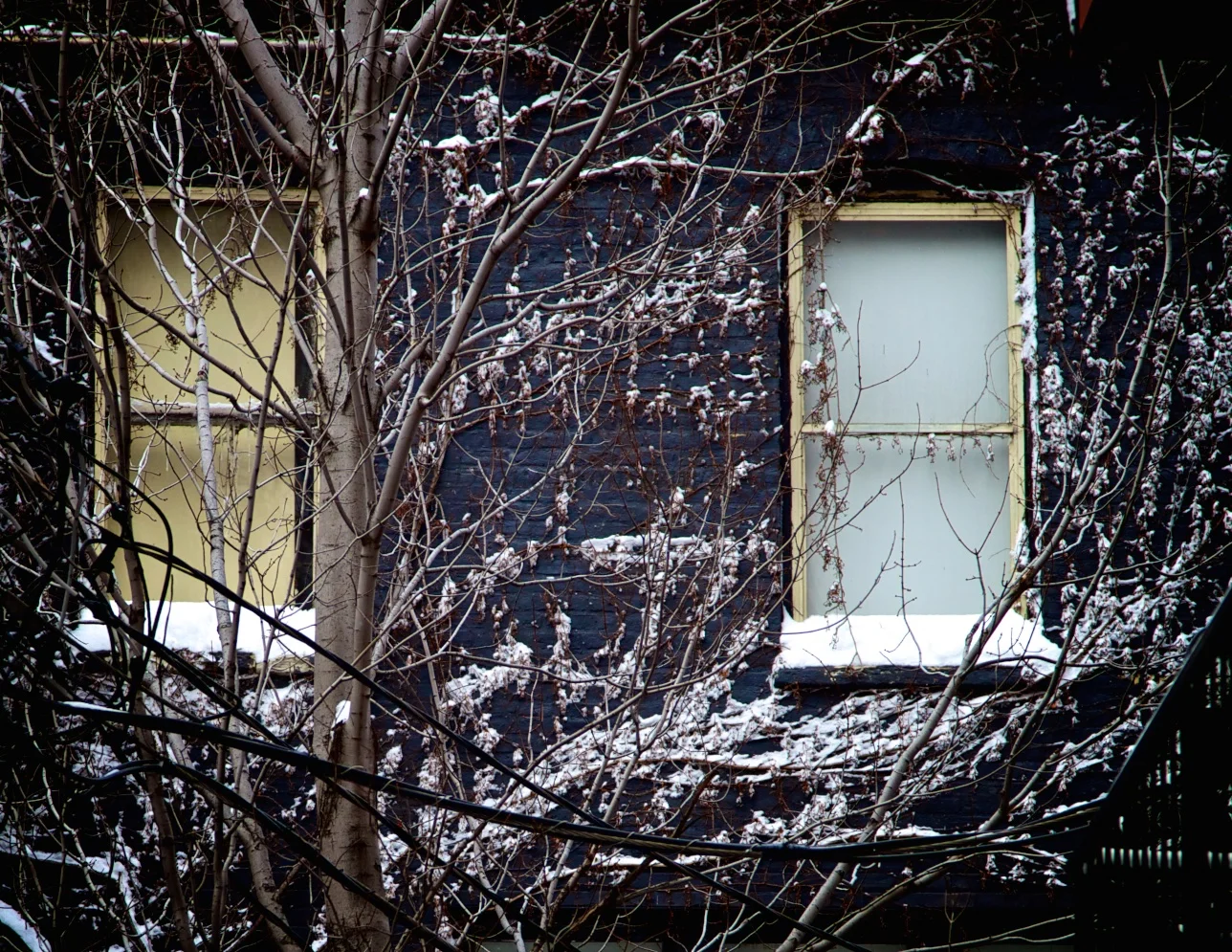 The Wall 2012