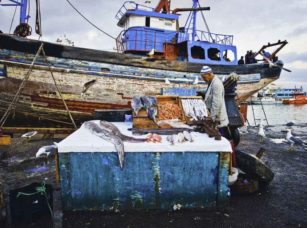 fisherman-essouaria-web.jpg
