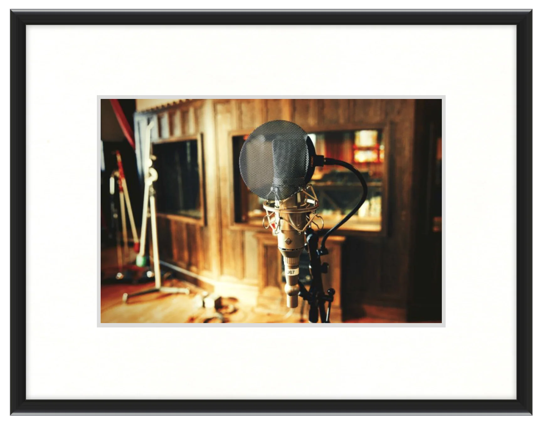 studio_mic_framed.jpg