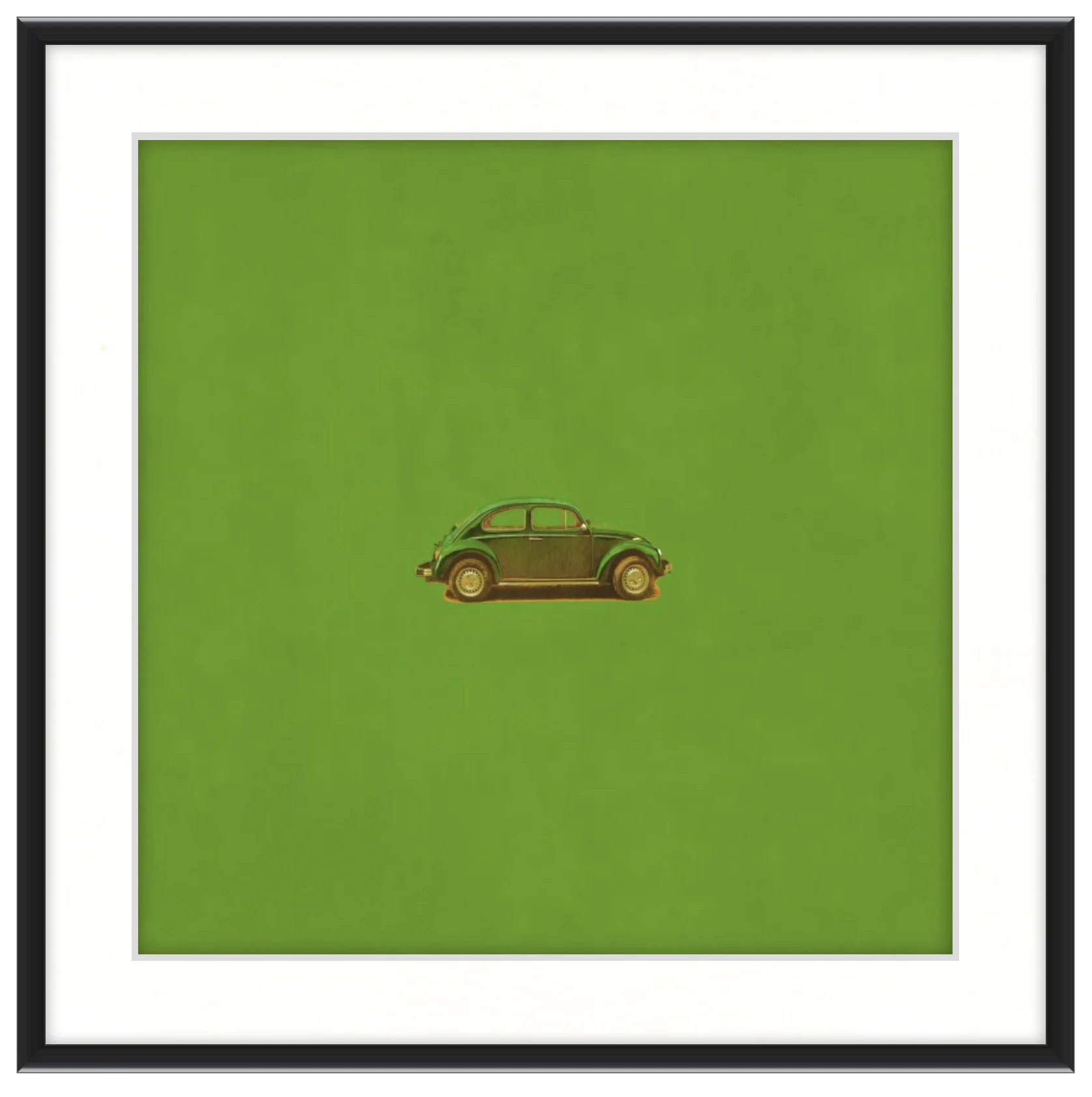 green_beetle_framed.jpg