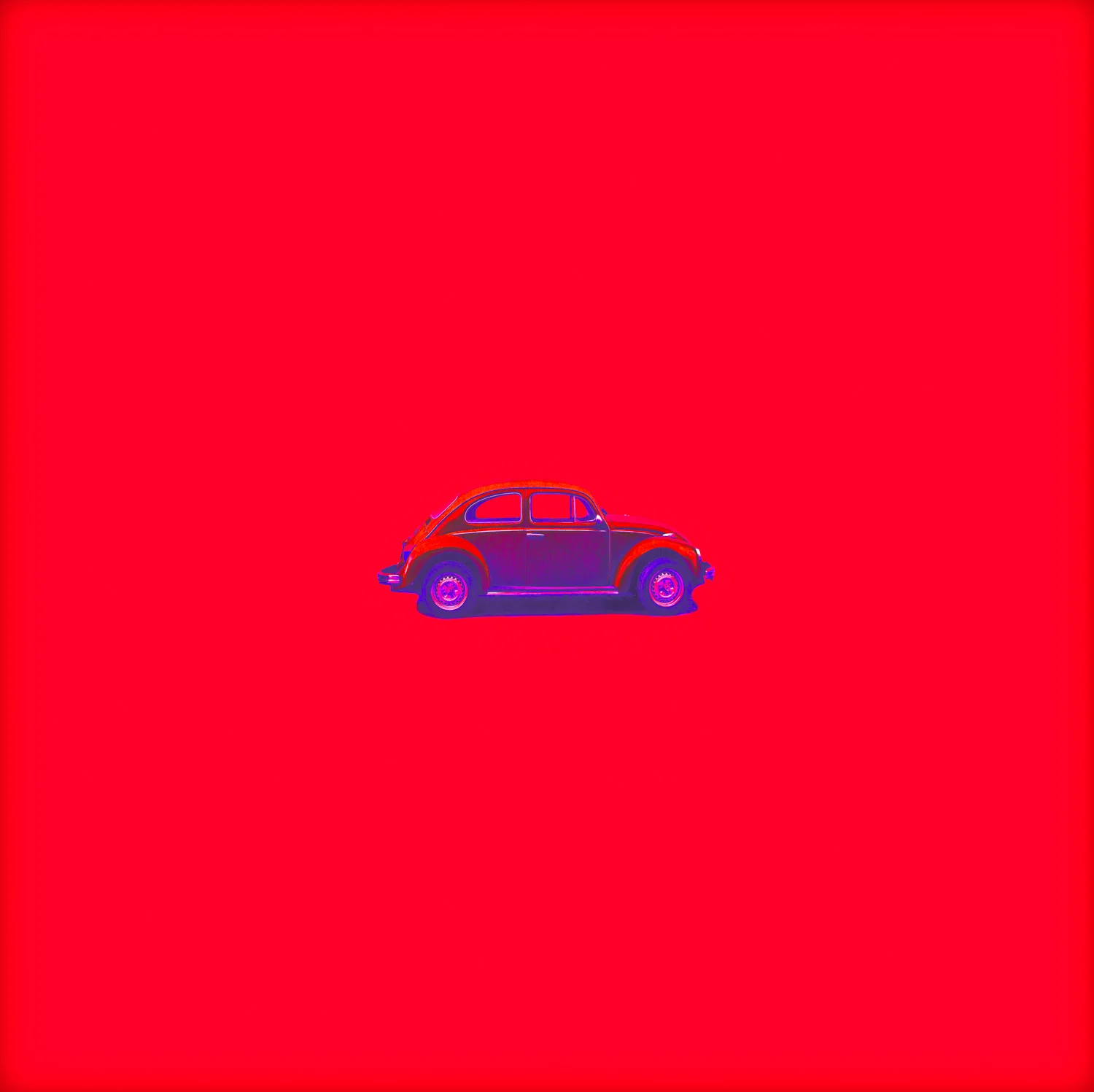 red_beetle_2.jpg
