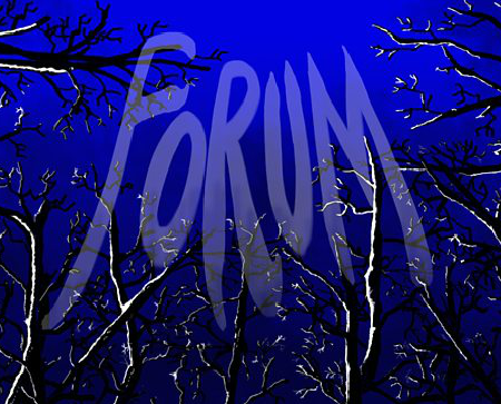 Forum2.png