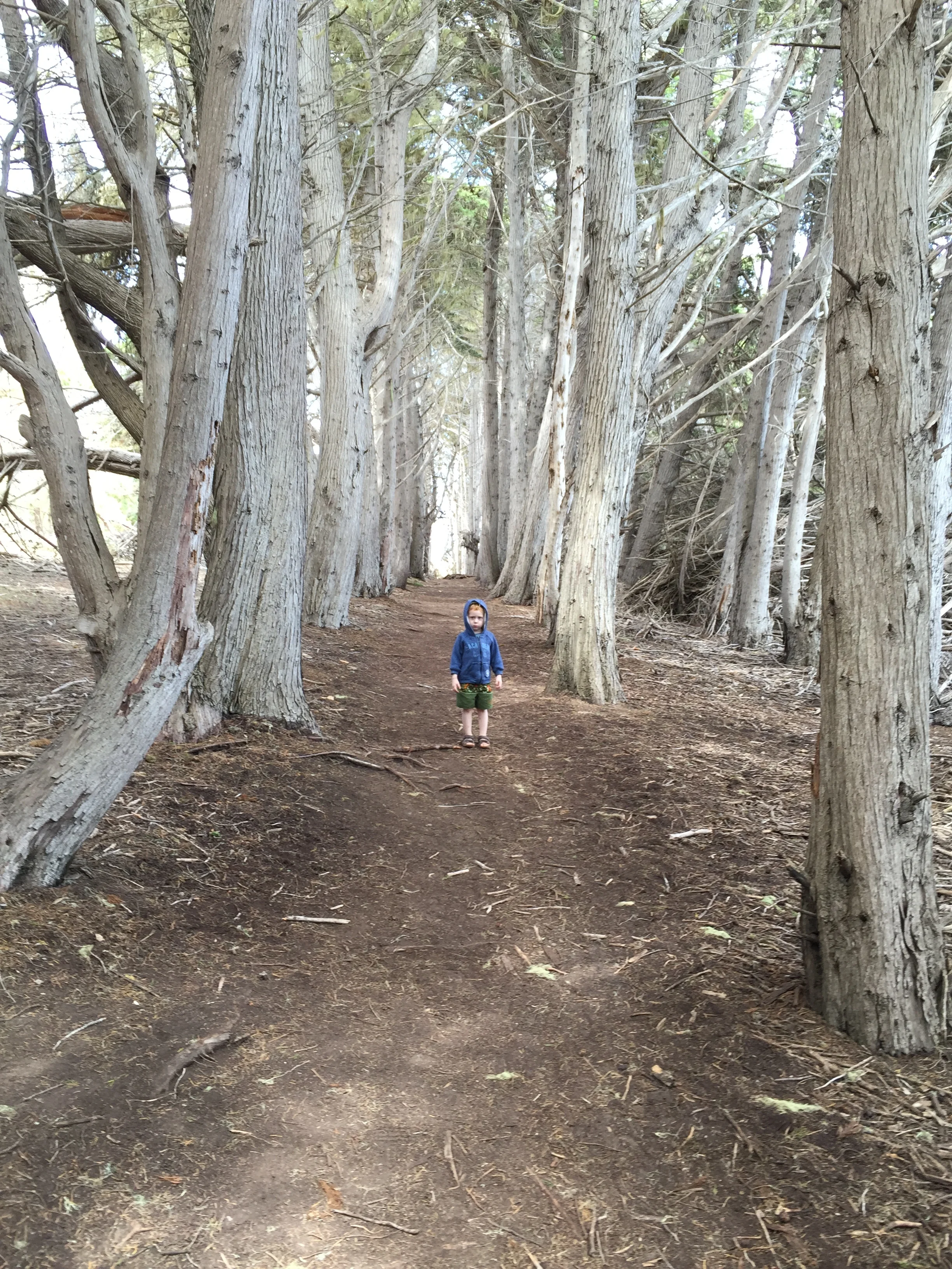 My First Blog: A Story to Tell.