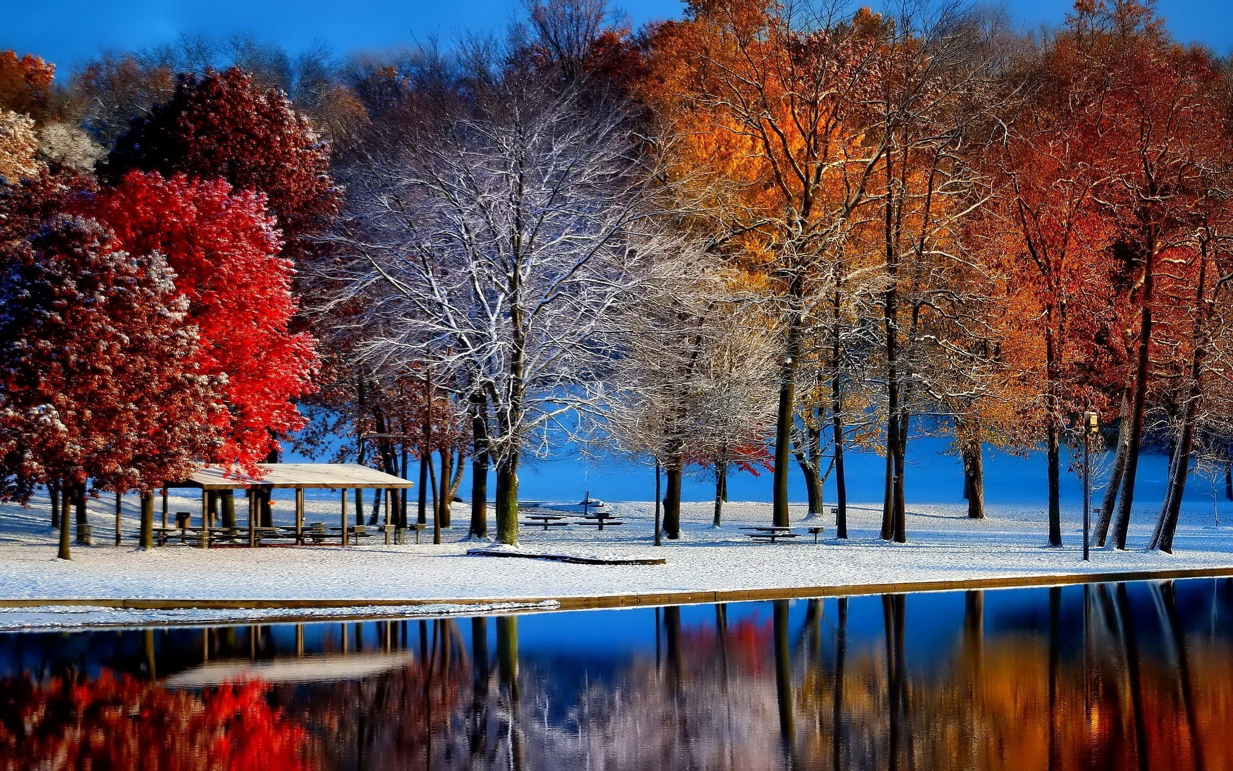 DECEMBER 2016 NEWSLETTER When I really think about this season, I am reminded of what is really important: family, love, and our health. So my tradition for the last few years has been to focus on how I can help others be healthier. I think about their individual health needs and see what kinds of fun things I can make for them! This newsletter will be packed full of fun holiday gift giving ideas that won’t break the bank, and will let the people you love know that you care. Read more here .