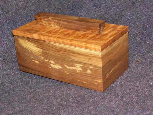 Box with Spalting